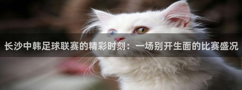  长沙中韩足球联赛的精彩时刻：一场别开生面的比赛盛况