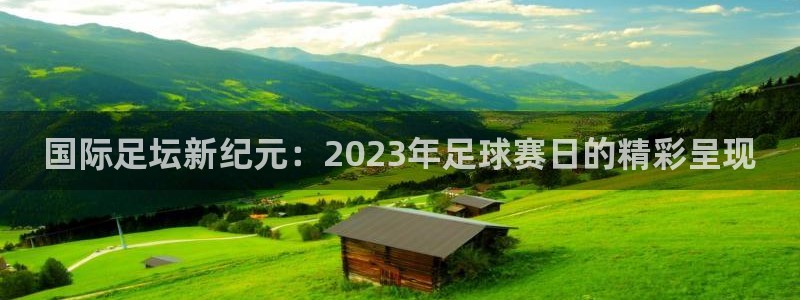  国际足坛新纪元：2023年足球赛日的精彩呈现