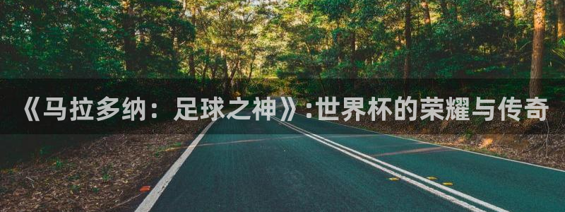  《马拉多纳：足球之神》:世界杯的荣耀与传奇