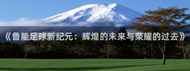 《鲁能足球新纪元：辉煌的未来与荣耀的过去》