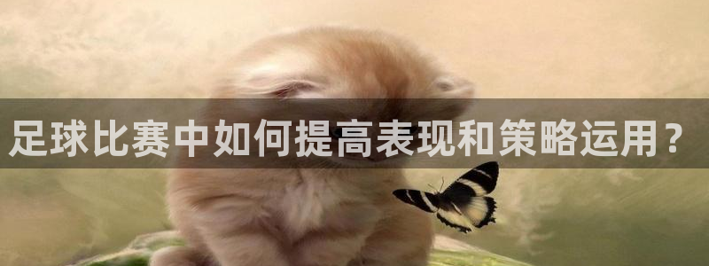  足球比赛中如何提高表现和策略运用？
