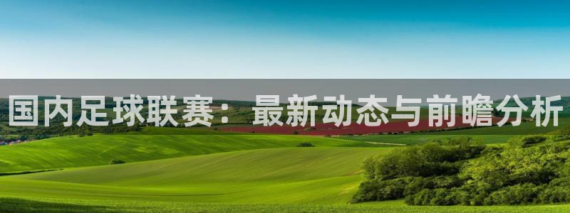 国内足球联赛：最新动态与前瞻分析