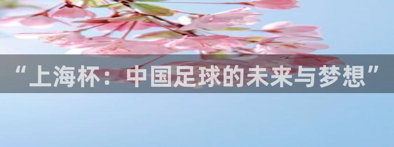 “上海杯：中国足球的未来与梦想”