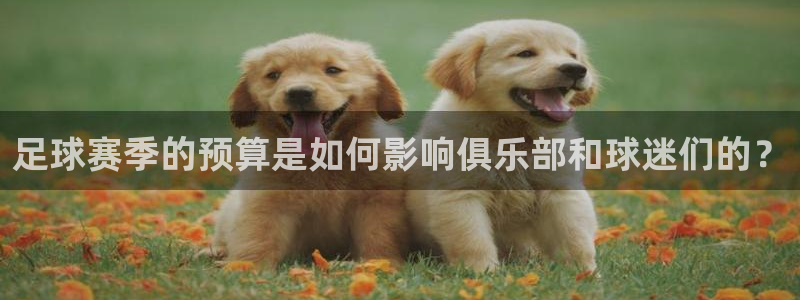 足球赛季的预算是如何影响俱乐部和球迷