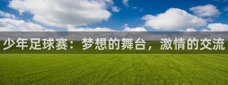 少年足球赛：梦想的舞台，激情的交流