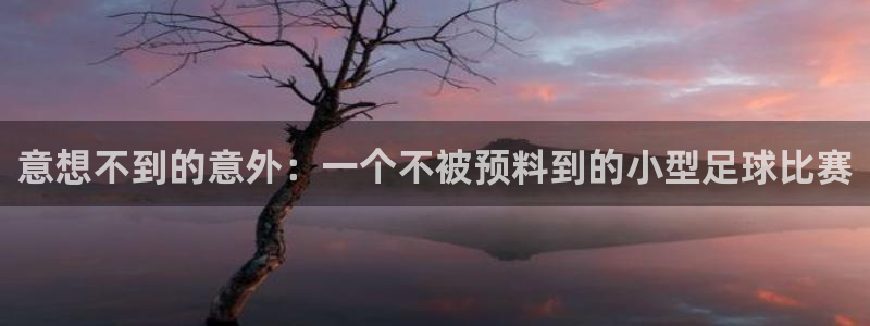 意想不到的意外：一个不被预料到的小型足球比赛