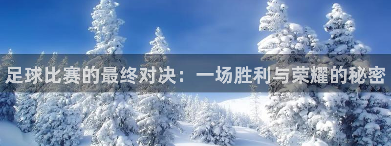 足球比赛的最终对决：一场胜利与荣耀的秘密
