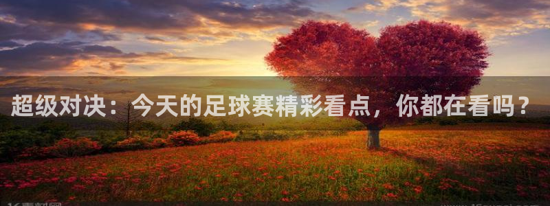 超级对决：今天的足球赛精彩看点，你都