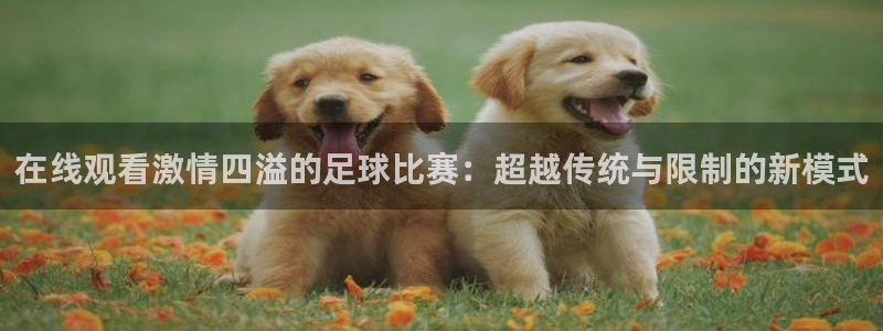 在线观看激情四溢的足球比赛：超越传统
