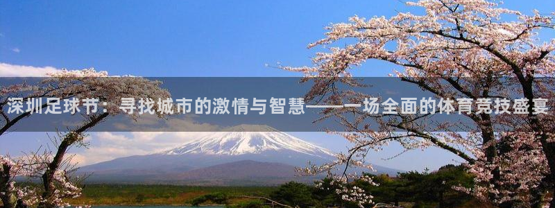 深圳足球节：寻找城市的激情与智慧——